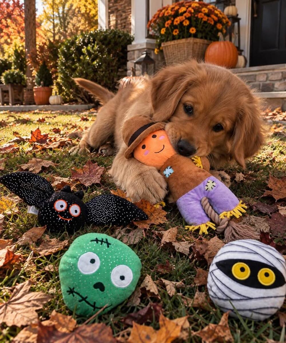 Halloween Dog Toys